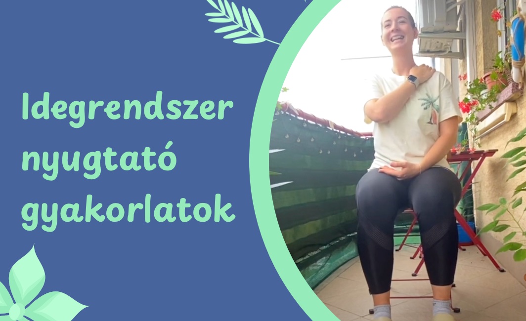 Idegrendszer nyugtató gyakorlatok (széken ülve) – videó