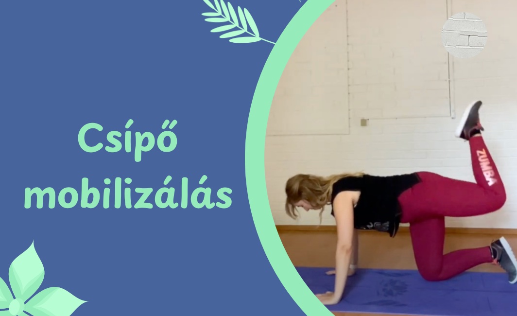 Mobilizáció – videó